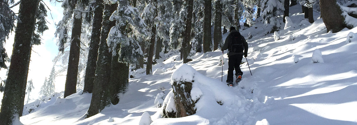 Splitboardtour am großen Arber